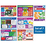 Computer Systems and Networks Posters - Set of 7 | Computer Science Posters | Gloss Paper measuring 33 x 23.5 | STEM Posters for the Classroom | Education Charts by Daydream Education