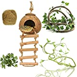 RUNANIA Crested Gecko Tank Accessories, Reptile Vines and Plants Coco Hut Coconut Shell with Ladder Hideout Cave Habitat Decor for Climbing Lizard Leopard Gecko Tortoise Amphibians Hermit Crab