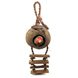 SunGrow Coconut Bird House with Ladder with Hole Opening, Mini Condo for Avians with Hanging Loop