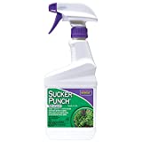 Bonide (BND2761) - Ready to Use Sucker Punch, Stop Suckers Sprouting from Roots and Pruning Cuts (16 oz.)