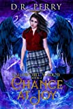 Chance At Joy (Gallows Hill Academy Series)