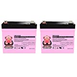 Charity Battery CB12350 12V 35Ah SLA Battery Replacement for Hoveround MPV5-2 Pack