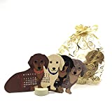 Greeting Life Mini Small Size Miniature Dachshund Dog 2022 DesKtop Calendar 4 in. Wx3.25 in. Tall with Gold Organza Pouch, C1349-ORG