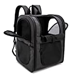 Apollo Walker Pet Carrier Backpack for Large/Small Cats and Dogs, Puppies, Safety Features and Cushion Back Support for Travel, Hiking, Outdoor Use (Black)