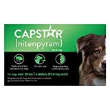 CAPSTAR (nitenpyram) Oral Flea Treatment for Dogs, Fast Acting Tablets Start Killing Fleas in 30 Minutes, Medium & Large Dogs (Over 25 lbs), 6 Doses