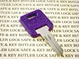 Global Link G360 RVs Motorhome Trailer Key Cut to Key/Lock Number G360 ONE Purple GLOBAL LINK LOCK Replacement Key