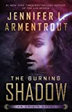 The Burning Shadow (Origin Series Book 2)