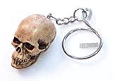 WitnyStore Celtic Skeleton Head Keyring - Miniature Collectibles - Realistic Hand Made and Painted Resin Key Organizer Perfect for Gifts and Souvenirs - 3 x 2 x 1 inches