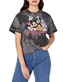 Disney Characters Squad Women's Fast Fashion Short Sleeve Tee Shirt, Black/Charcoal, Medium