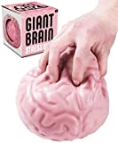 Giant Brain Stress Ball: A giant stress toy shaped like a circular cranium!