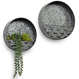 MyGift Rustic Silver Galvanized Metal Round Decorative Succulent/Air Plant Hanging Wall Planter Pots, Set of 2