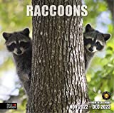 RED EMBER Raccoons 2023 Hangable Monthly Wall Calendar | 12" x 24" Open | Thick & Sturdy Paper | Giftable | Animals Rascally Raccoons