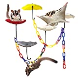 NEOUZA 6Pack Sugar Gliders Platform,140pcs C-Clips Climbing Chain for Sugar GlidersBirds, Squirrels pet Toy