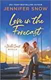 Love in the Forecast (A Wild Coast Novel)