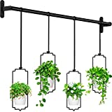 Dicasser 4pcs Hanging Planters for Window, Wall and Ceiling Plant Hanger with Plastic Pots