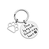 Loss of Pet Memorial Keychain Dog Cat Remembrance Jewelry Pet Sympathy Gift Dog Remembrance for Women Men Once by My Side Forever in My Heart Key Ring