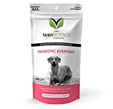 VetriScience Probiotic Everyday for Dogs Duck Flavor 120 Chews - Itchy Skin Gut Health and Gas Relief with Prebiotics