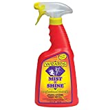 WIZARDS - Mist-N-Shine Professional Detailer, High-Gloss Car Detailing and Surface Cleaner Spray (22 oz.)