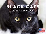 Black Cat Calendar 2023 Monthly Wall Hanging Calendar Cute Baby Kitten Kitty Cats Pet Large Planner 24 Months - Full 2023 Write On Grid Plus Bonus 2024 Preview Chart - Made In USA