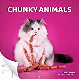 Super Cute and Hilarious 18 Month Chunky Animals Wall Calendar 2022-2023. Big 12x12 Inch Novelty Gift for Men and Women. Funny Stocking Stuffer, Office Decor, or White Elephant Idea for Animal Lovers