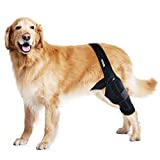 MerryMilo Dog Knee Brace For Support With Cruciate Ligament Injury, Joint Pain And Muscle Sore, Better Recovery With Dog ACL Knee Brace, Adjustable Rear Leg Braces For Dogs, Pet Knee Brace(Size: M)