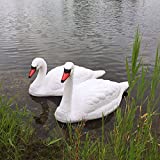 The Pond Guy Pair of Floating Fake Swans, Plastic Lifelike Decoys to Deter Geese, Pair (2)