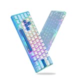 Womier WK61 60% Keyboard, Hot-Swappable Keyboard Ultra-Compact RGB Gaming Mechanical Keyboard w/Pudding Keycaps, Linear Red Switch, Pro Driver/Software Supported - Glacier Blue