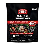 Ortho BugClear Lawn Insect Killer1: Treats up to 16,500 sq. ft., Protect Your Yard & Garden Against Ants, Spiders, Ticks, Armyworms, Fleas & Grubs, 10 lbs.