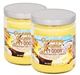 Specialty Pet Products Pet Odor Exterminator Candle, Pineapple & Coconut - Pack of 2