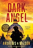 Dark Angel (The Shepherds Series Book 2)