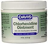 Davis 2% Chlorhexidine Ointment, 4 oz