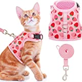 NACOCO Small Dog Strawberry Harness Cat Pink Mesh Vest Pet Funny Walking Vest for Small Dogs Cats and Puppy(Strawberry,S)