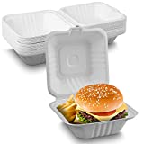 MT Products Lunch Box Cake Food Container 6" x 6" Bagasse - Pack of 30 Disposable Clamshells