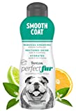 TropiClean Perfect Fur Dog Shampoo for Shedding Control & Restoring Shine for All Breeds with A Smooth Coat, 16 Ounce