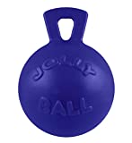 Jolly Pets Tug-n-Toss Heavy Duty Dog Toy Ball with Handle, 6 Inches/Medium, Blue