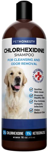 PetHonesty Chlorhexidine Shampoo - Ketoconazole & Aloe for Dogs & Cats - Helps Itching, Hot Spots, Irritation & Allergies, Sensitive Skin, Deodorizing Dog Shampoo, Dog Grooming Supplies - 16oz