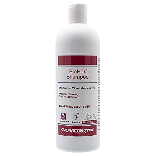 VetBioTek BioHex Chlorhexidine and MicroSilver Shampoo for Skin Infections in Dogs, Cats, and Horses (16 oz)