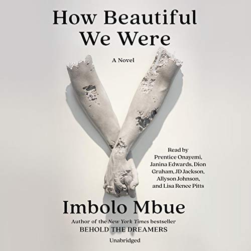 How Beautiful We Were: A Novel