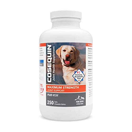 Nutramax Cosequin Maximum Strength Joint Health Supplement for Dogs - With Glucosamine, Chondroitin, and MSM, 250 Chewable Tablets