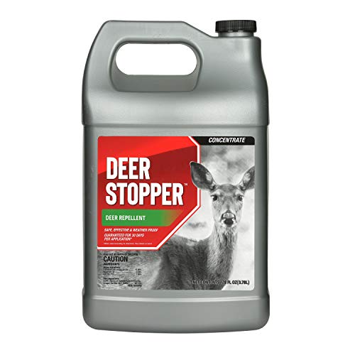 Messina 073112 Dsc128 Concentrated Deer Stopper, 1 Gallon