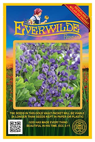Everwilde Farms - 60 Blue Wild Indigo Native Wildflower Seeds - Gold Vault Jumbo Seed Packet