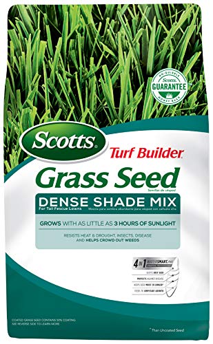 Scotts Turf Builder Grass Seed Dense Shade Mix for Tall Fescue Lawns, Grows With As Little As 3 Hours of Sunlight, 3 lbs.