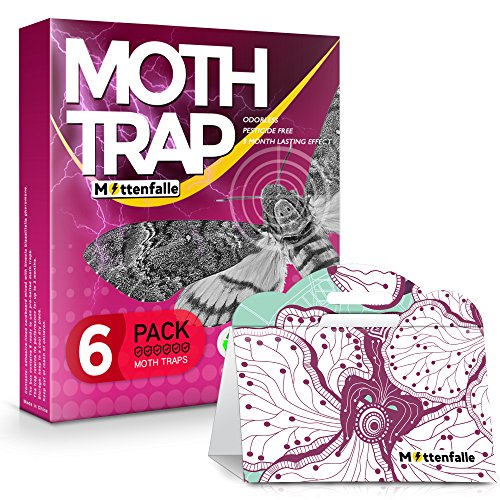 Mottenfalle Clothes Moth Traps 6-Pack - Prime Safe Non-Toxic Eco-Friendly Indoor Moth Traps with Pheromones Sticky Adhesive Tool for Wool Closet Carpet (Red, Stand-Up)
