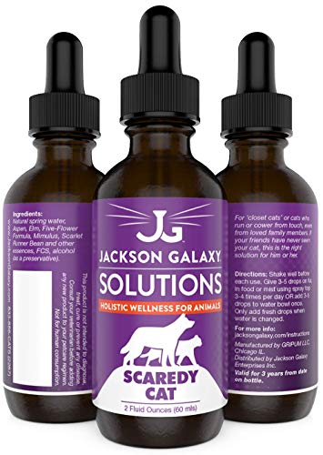 Jackson Galaxy: Scaredy Cat (2 oz.) - Pet Solution - Promotes Sense of Self-Confidence and Reassurance - Perfect for Cats Who Hide and Run from Touch - All-Natural Formula - Reiki Energy