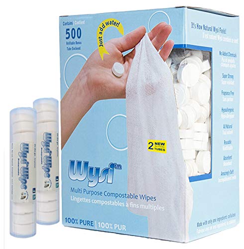 WYSI Expandable Wipes w/ 2 To-Go Tubes - Box of 500