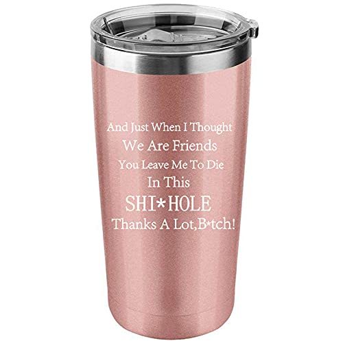 Coworker Leaving Gifts for Woman New Job Farewell Going Away Funny Present 20 Oz Stainless Steel Rose Gold Insulted Cup Travel Car Tumbler New Job, Farewell Goodbye Funny Gifts