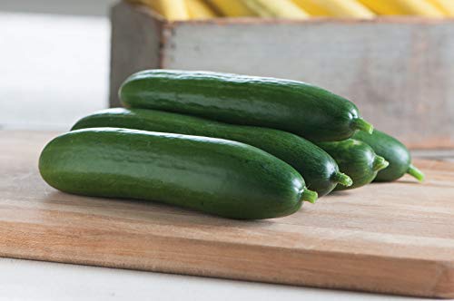 David's Garden Seeds Cucumber Slicing Diva FBA-2196 (Green) 25 Non-GMO, Open Pollinated Seeds