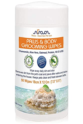 Arava Dog and Cat Wipes for Pet Grooming with Chlorhexidine and Silk Protein - Cleaning and Deodorizing Wet Wipes for Body, Face and Paws - Safe for Puppies and Kittens - 7.5 x 5 inch - 50 Count