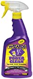 Wizards Interior Cleaning Supplies (Power Clean 22 oz.)