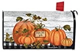 Briarwood Lane Happy Fall Y'all Pumpkins Farmhouse Magnetic Mailbox Cover Autumn Checkers Standard